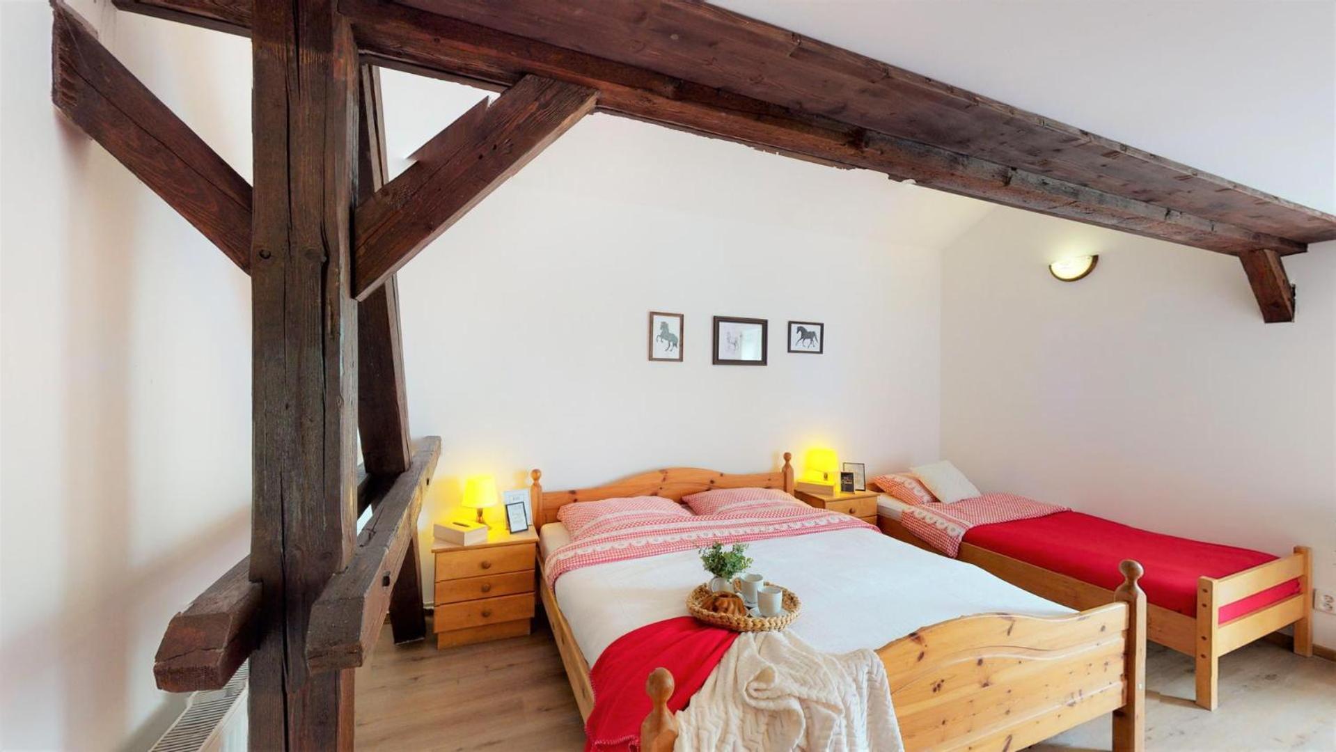 Pension U Sebastiana Hodousice Quarto foto