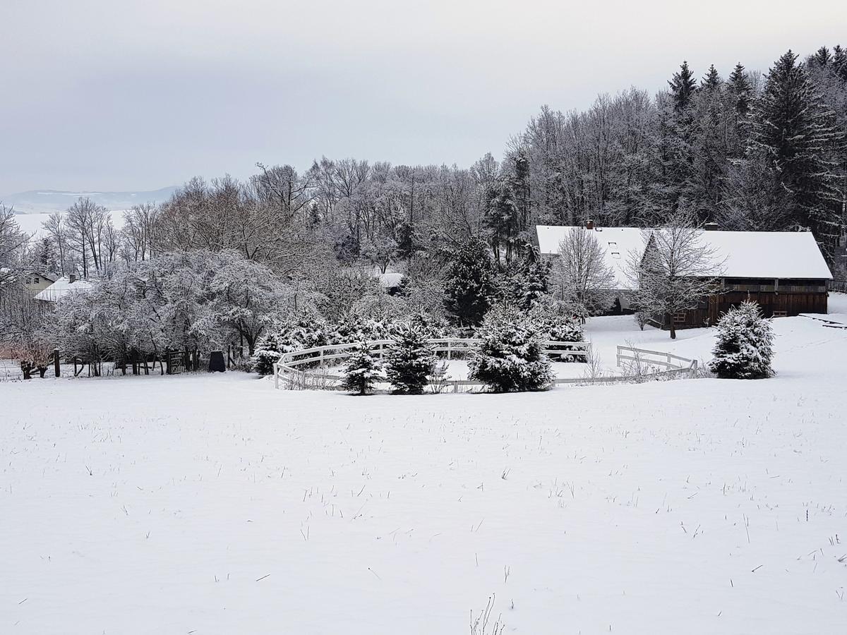 Pension U Sebastiana Hodousice Exterior foto